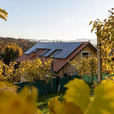 Weinberghaus Am Burgstallkogel Dom wakacyjny