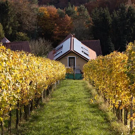 Weinberghaus Am Burgstallkogel * Leibnitz