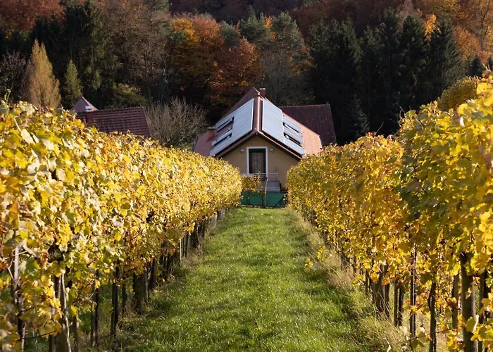 Weinberghaus Am Burgstallkogel * Leibnitz