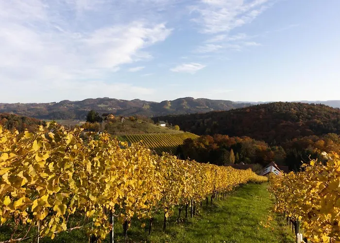 Weinberghaus Am Burgstallkogel * Leibnitz
